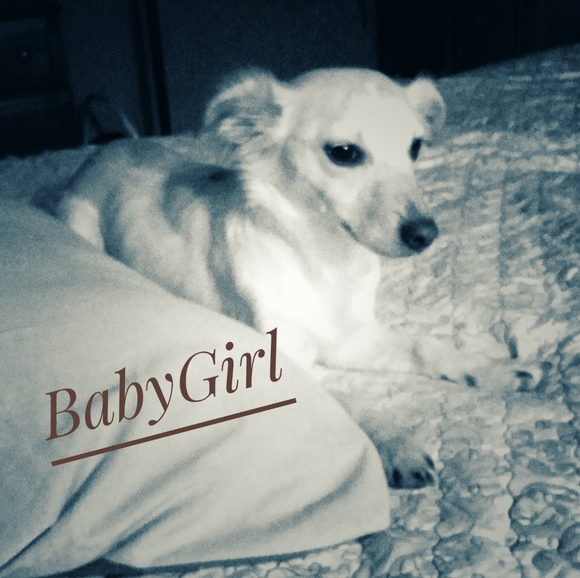 Posh Roads presents Classy's SmartAssy's with BabyGirl & HAZZEL watching - Picture 2 of 3